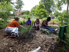 Work in the Gardens!  @ SEEDS Southside Garden | Durham | North Carolina | United States