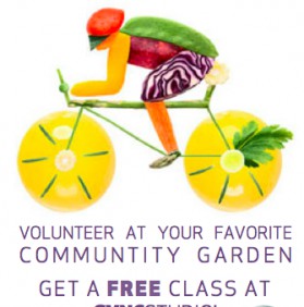 Volunteer at SEEDS = Free Class at SYNCStudio