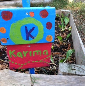 Musings from Karimah, a Community Gardener and garden teacher