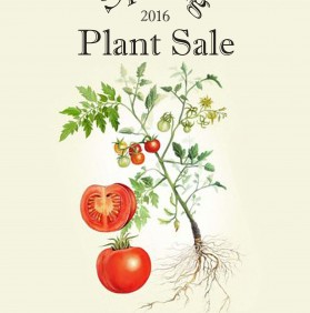Reinvigorate your Spring Garden with SEEDS Spring Plant Sale